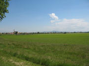 Blick nach S�dwesten auf Fessenheim am 3.6.2006