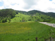 Blick von der Strasse Todtnau - Aftersteg nach Nordwesten auf Hasbach am 2.6.2006