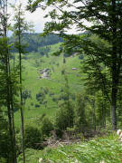 Blick nach Westen auf Aftersteg-Hasbach in der Nachmittagssonne am 2.6.2006
