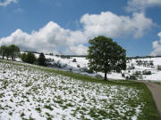 Blick vom Bodenmattenhof nach Westen zum Schauinsland am 2.6.2006