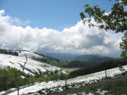 Blick vom Haldebur auf dem Schauinsland nach S�den ins M�nstertal am 2.6.2006