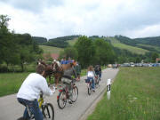 Blick nach Norden im Ibental vor dem Melcherhof am 5.6.2006