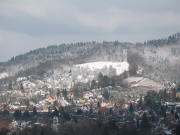 Tele-Blick vom M�nsterturm zu Eichhalde-Wingert (rechts) und Hebsack-Wiesen am 12.3.2006