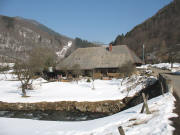 Blick nach Norden zum 200 Jahre alten Ortlieb-Hof am 20.3.2006