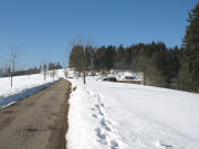 Blick �ber den Hornweg nach S�den zum Sauwasen rechts am 15.3.2006
