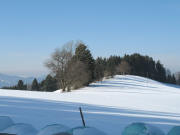 Blick nach Westen zur Lindleh�h vom Lindelehof-Weg her am 15.3.2006