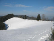 Blick vom Langeck nach Westen auf den  Gratweg zur Lindleh�h am 15.3.2006