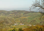 Blick von Neunlindenturm am Totenkopf nach Nordosten �ber Vogtsburg zum NSG Haselschacher Buck (rechts) 