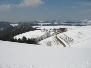 Blick nach Nordwesten vom Steigweg �ber den Rotenbauernhof nach St. Peter am 15.3.2006