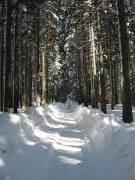 Blick nach S�dwesten auf den Wanderweg bei der Saiger H�he