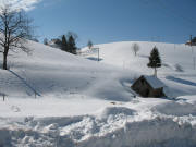 Blick vom Haldenlorenz nach S�den hoch zum Vorderen Willmen am 15.3.2006