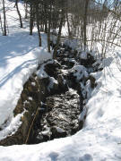 Blick nach S�dosten im Willmendobel beim Haldenlorenz am 15.3.2006