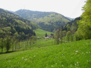 Blick nach S�den �ber die Hintere Bohrerm�hle hoch zu den Schauinsland-Windr�dern am 3.5.2006