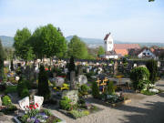 Blick nach Norden über den Gottenheimer Friedhof am 4.5.2006