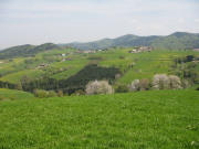 Blick vom Jockelehof nach Nordosten �ber Horben zum Kybfelsen am 3.5.2006