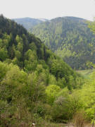 Tele-Blick vom Jockelesh�usle nach S�dosten �bers Zastlertal zum Skihang Stolenbach am 6.5.2006