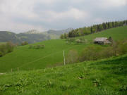 Blick nach Nordosten �ber den K�chlebauernhof zum H�usleberg am 5.5.2006