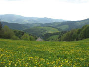 Traumblick nach S�dwesten �ber den Langeckhof ins Dreisamtal am 16.Mai 2006 um 17 Uhr