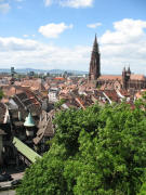 Blick vom Greiffenegg nach Nordwesten zum M�nster am 19.5.2006