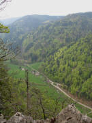 Blick nach Osten vom Scheibenfelsen ins Zastler am 6.5.2006 - vorne Adamshof und Abzweig zur Stolenbacher H�tte