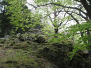 Blick nach Osten oben auf dem Scheibenfelsen am 6.5.2006