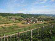 Blick vom Batzenberg ins Schneckental nach S�dosten auf Pfaffenweiler am 24.5.2006