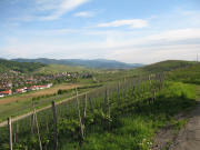 Blick vom Batzenberg ins Schneckental nach Süden auf Pfaffenweiler und Kirchhofen am 24.5.2006