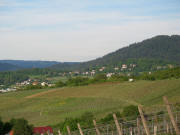 Blick nach Osten vom St.Georgener Schönberg zum Lorettoberg am 24.5.2006