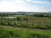 Blick vom Batzenberg nach Westen �ber Spargelfolien zum Tuniberg bei Munzingen am 17.5.2006