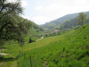 Blick nach Osten im Weilersbach zum Oberhof am 11.5.2006