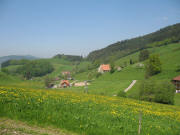 Blick nach Westen zum Fre�lehof rechts und Sutterhof hinten am 11.5.2006