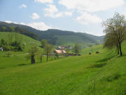 Blick nach Osten ins Weilersbach zum Brissenhof am 11.5.2006