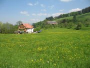 Blick nach Norden zum Gasthaus Sch�tzen und Hannisenhof (rechts) am Eingang des Weilersbachtals am 11.5.2006
