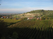 Blick nach Norden �ber Amoltern zum Galgenberg am 6.11.2006