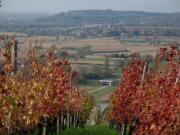 Tele-Blick nach Westen am Steinhauer-Kreuz auf Munzingen am 24.5.2006