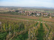 Blick vom Nordende des Batzenbergs am 10.11.2006 nach Nordwesten zum Tuniberg bei Tiengen