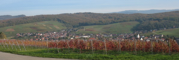 Blick vom Rebendenkmal auf dem Batzenberg nach Osten auf Pfaffenweiler und Öhlinsweiler (links) am 10.11.2006