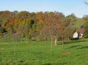 Blick nach Westen zur Berghauser Kapelle von der Bettlertanne aus am 15.11.2006 bei 20 Grad