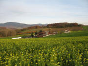 Blick nach Osten �ber den Berghof zum Eggenertal und Hochblauen am 20.11.2006