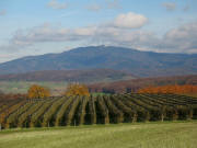 Tele-Blick vom Bildst�ckli an der R�merstrasse bei Huttingen nach Nordosten zum Hochblauen am 20.11.2006