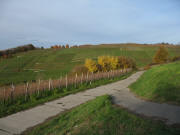 Blick von der "Letten"-H�tte nach Norden zum Buchholz am 20.11.2006
