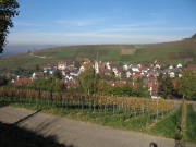 Blick nach Norden über Ebringen zum Sommerberg am 7.11.2006