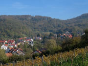Blick nach Nordosten über Ebringen zur Ruine Schönberg am 7.11.2006