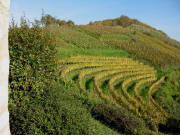 Blick von der �lbergkapelle nach Nordosten hoch zum �lberg am 10.11.2006