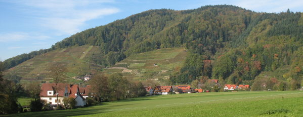 Blick vom Ahlenbach nach Norden zum Glottertäler Eichberg am 6.11.2006 