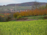 Tele-Blick nach Norden vom R�merhof am Schliengener Berg nach Mauchen am 20.11.2006