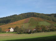 Blick vom Engemattensteg nach Norden zum D�schenhof am 6.11.2006