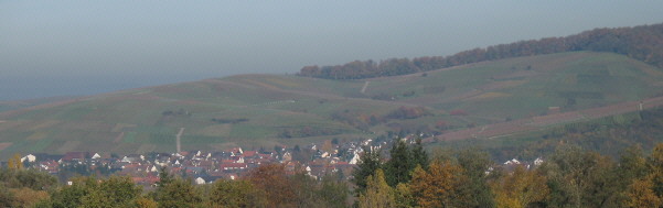 Tele-Blick vom St.Gotthardhof bei Staufen nach Norden �ber Ehrenkirchen hoch zur Sonnenhalde am 15.11.2006