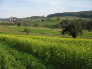 Blick von Windenreute nach Nordosten zur Hochburg am 6.11.2006