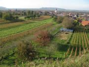 Blick nach Westen �ber K�nigschaff-hausen zum Limberg ob Sasbach am 6.11.2006